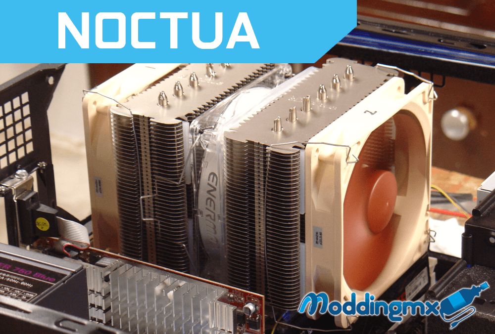 Noctua-1